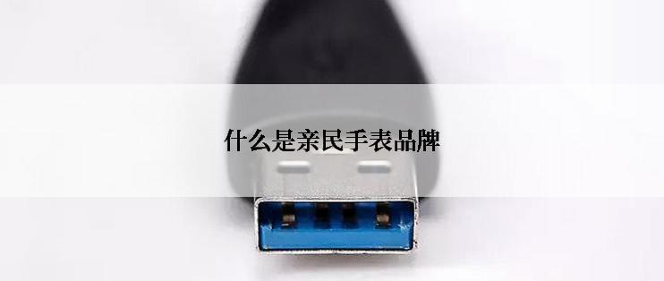 什么是亲民手表品牌