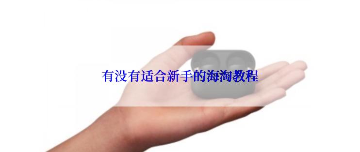有没有适合新手的海淘教程