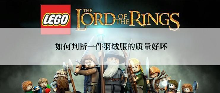  如何判断一件羽绒服的质量好坏