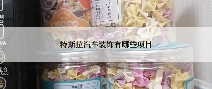 特斯拉汽车装饰有哪些项目