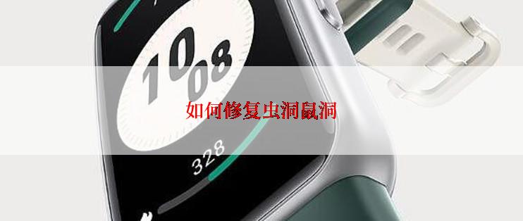 如何修复虫洞鼠洞