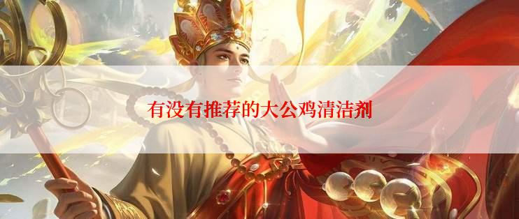 有没有推荐的大公鸡清洁剂