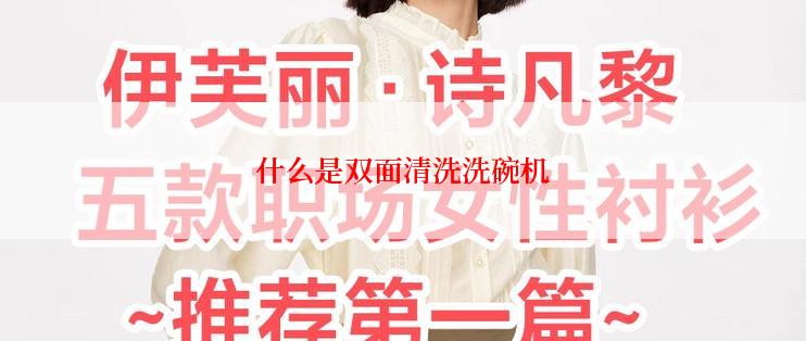 什么是双面清洗洗碗机