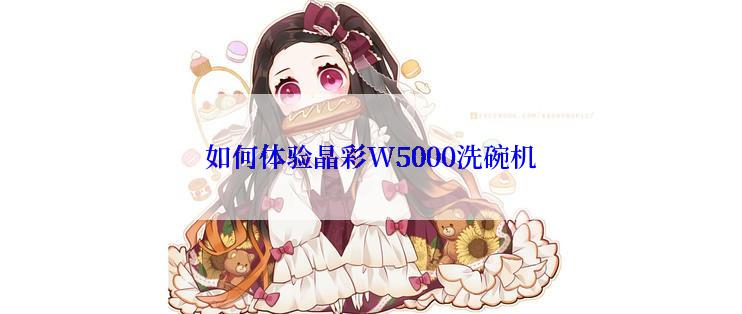 如何体验晶彩W5000洗碗机