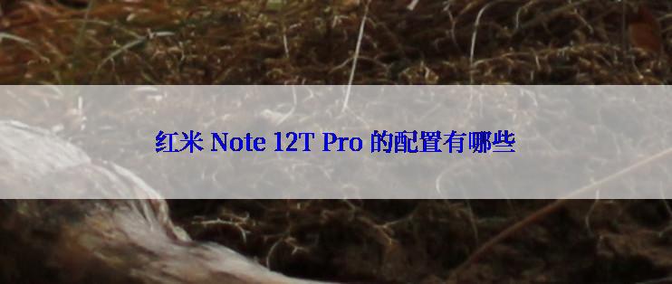 红米 Note 12T Pro 的配置有哪些