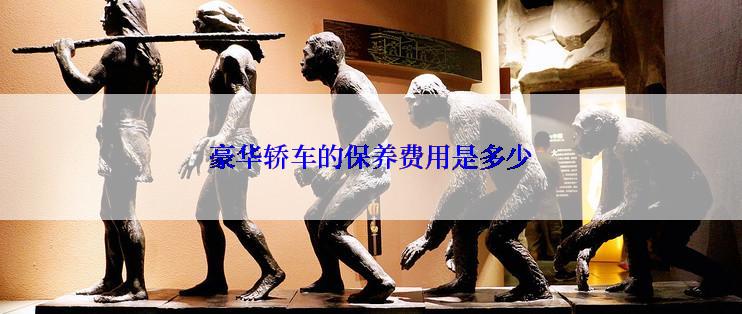 豪华轿车的保养费用是多少