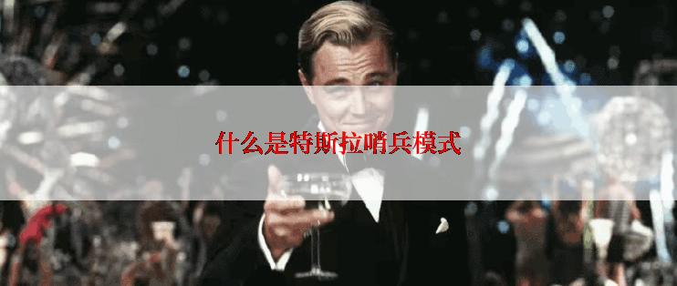 什么是特斯拉哨兵模式