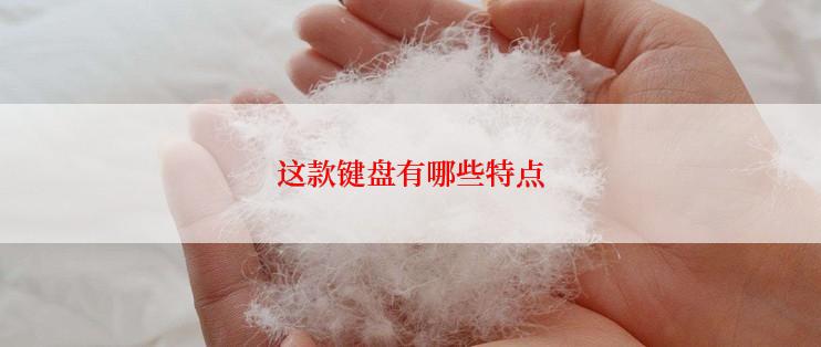 这款键盘有哪些特点