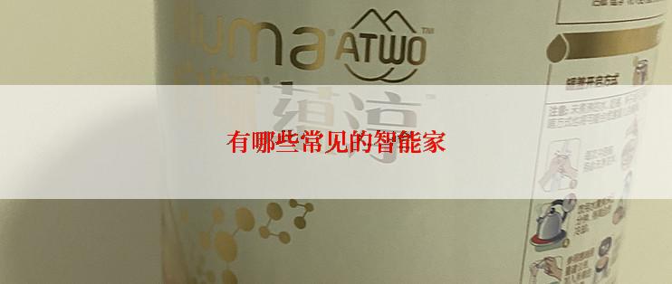 有哪些常见的智能家