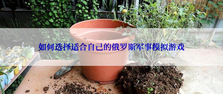 如何选择适合自己的俄罗斯军事模拟游戏