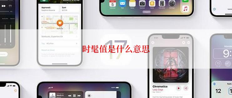 时髦值是什么意思