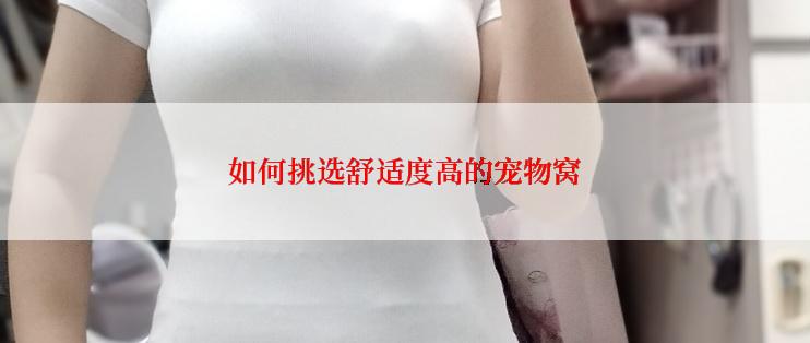 如何挑选舒适度高的宠物窝