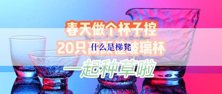 什么是梯凳