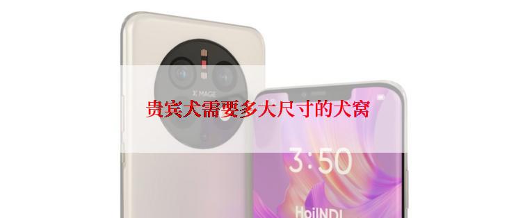 贵宾犬需要多大尺寸的犬窝