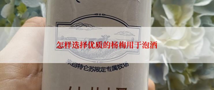 怎样选择优质的杨梅用于泡酒