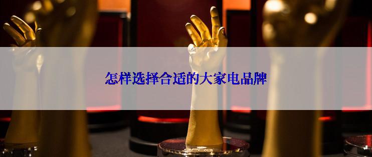 怎样选择合适的大家电品牌