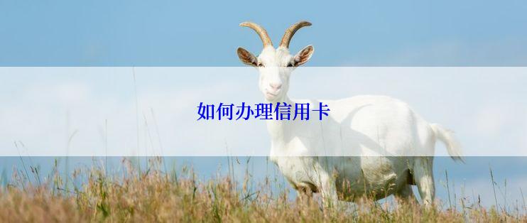 如何办理信用卡