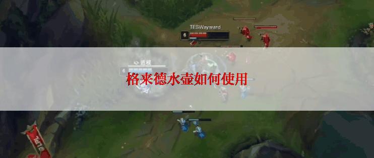 格来德水壶如何使用