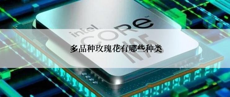  多品种玫瑰花有哪些种类