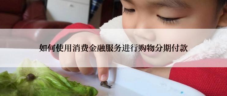 如何使用消费金融服务进行购物分期付款