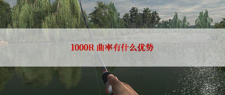 1000R 曲率有什么优势