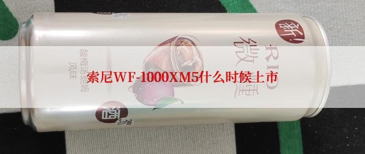 索尼WF-1000XM5什么时候上市