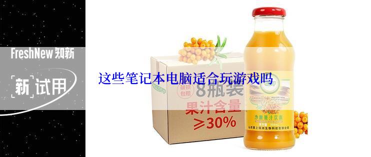 这些笔记本电脑适合玩游戏吗