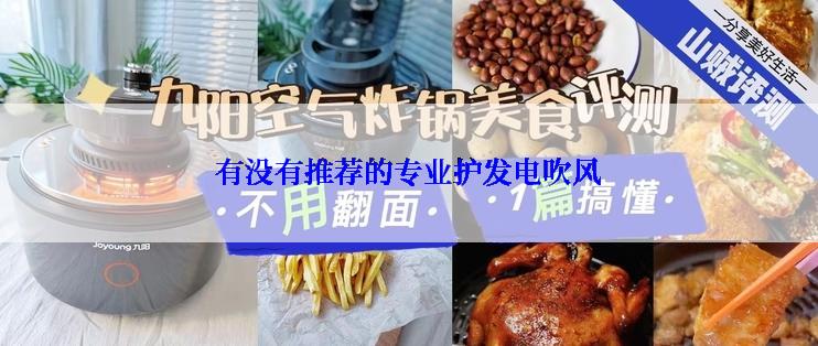 有没有推荐的专业护发电吹风