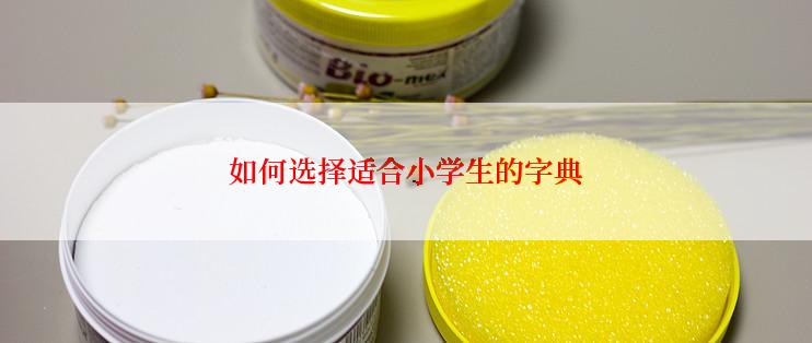 如何选择适合小学生的字典