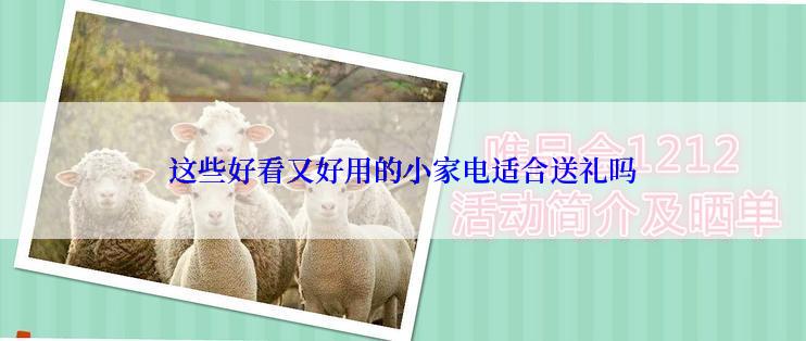 这些好看又好用的小家电适合送礼吗