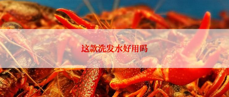 这款洗发水好用吗