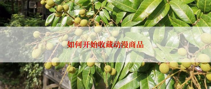 如何开始收藏动漫商品