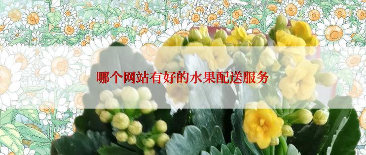 哪个网站有好的水果配送服务
