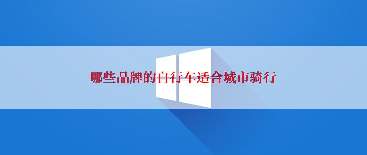 哪些品牌的自行车适合城市骑行