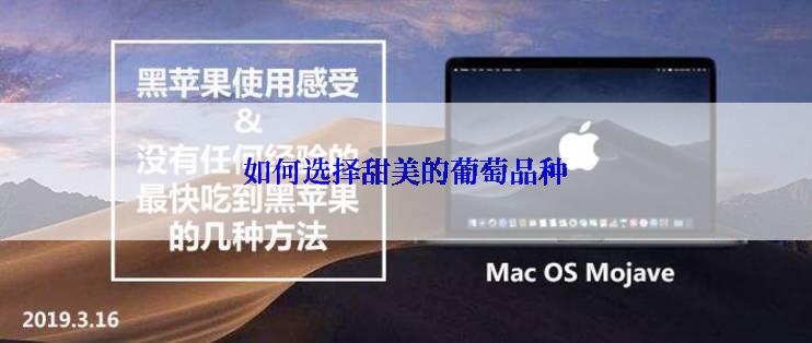 如何选择甜美的葡萄品种