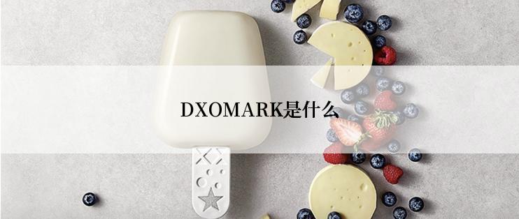 DXOMARK是什么