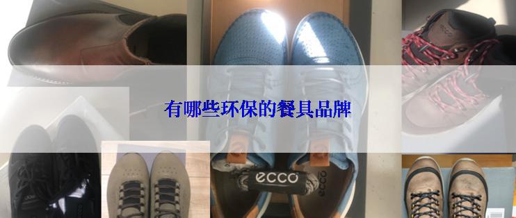 有哪些环保的餐具品牌