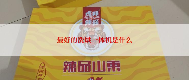 最好的洗烘一体机是什么