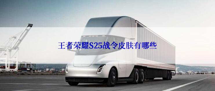 王者荣耀S25战令皮肤有哪些