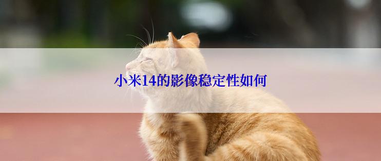 小米14的影像稳定性如何
