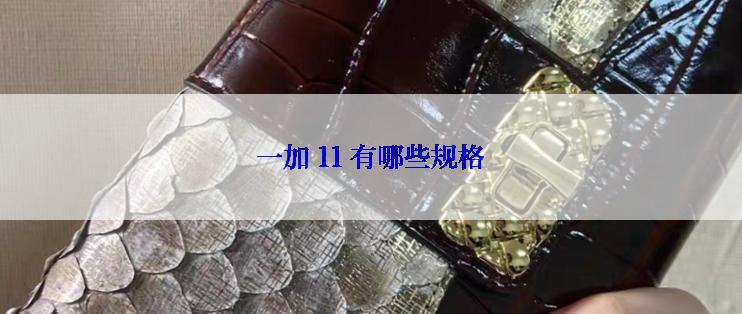 一加 11 有哪些规格