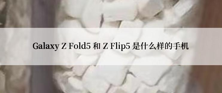 Galaxy Z Fold5 和 Z Flip5 是什么样的手机