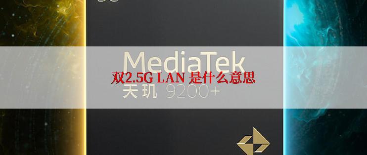 双2.5G LAN 是什么意思