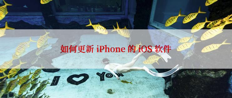 如何更新 iPhone 的 iOS 软件