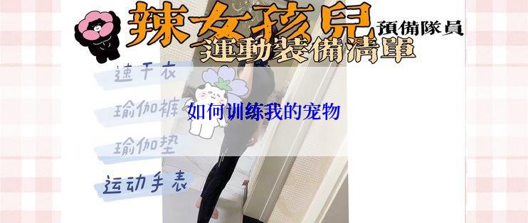 如何训练我的宠物