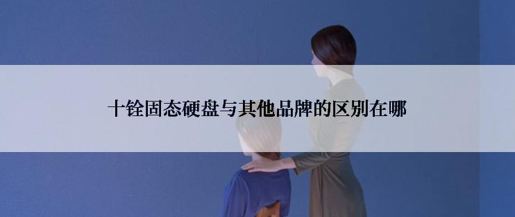 十铨固态硬盘与其他品牌的区别在哪