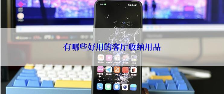 有哪些好用的客厅收纳用品