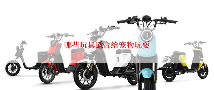 哪些玩具适合给宠物玩耍