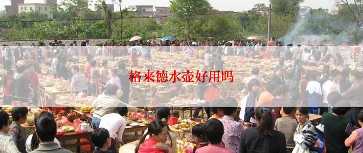 格来德水壶好用吗