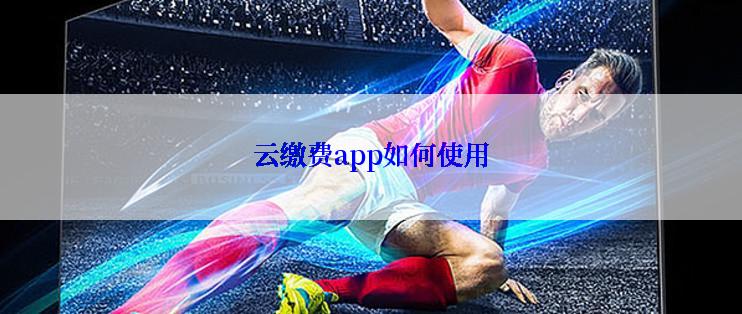 云缴费app如何使用